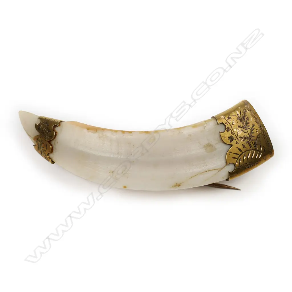 Louis Kerr (Nelson) 9ct gold mounted small tusk brooch, Image 1++